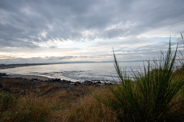 Fototapeta na wymiar Deserted Pacific Ocean Coastline with Seagrass