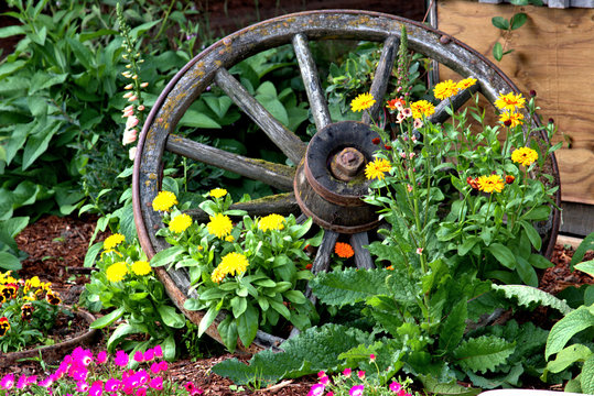 Wood spoke wagon wheel