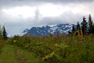 Colorful landscape of Alaska