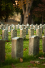 Naklejka premium Tombstones in warm Evening Light an Antietam National Cemetery in Sharpsburg, Maryland, USA