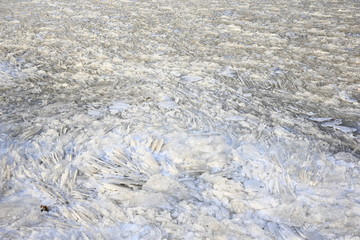 The winter sea ice