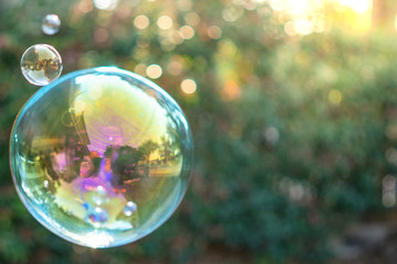 Floating soap bubbles against Syzygium australe tree background.