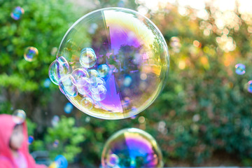Floating soap bubbles against Syzygium australe tree background.