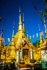 Fototapeta premium temple in bangkok thailand