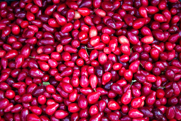 Dogwood is scattered on the ground. Background for design