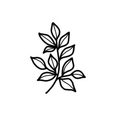 Hand drawn monochrome plant, leaf, and foliage element for wedding invitation, logo, engagement, or botanical logo