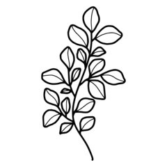 Hand drawn black and white botanical  leaf, foliage, and branch element for frame, decoration, clip art, wedding and engagement invitation, or anniversary