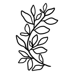 Hand drawn black and white botanical  leaf, foliage, and branch element for frame, decoration, clip art, wedding and engagement invitation, or anniversary
