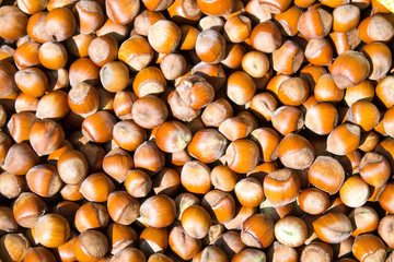 hazelnuts are scattered on the table. Background for design