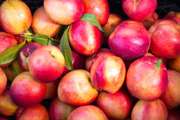 Ripe peaches are scattered on the table. Background for design