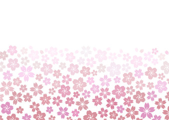 芝桜 花畑イメージ 花柄背景（赤、ピンク）