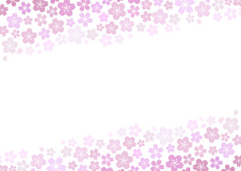 芝桜 春風イメージ 花柄背景（紫）