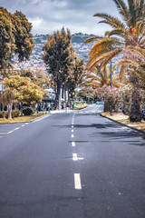 FUNCHAL. MADEIRA, PORTUGAL