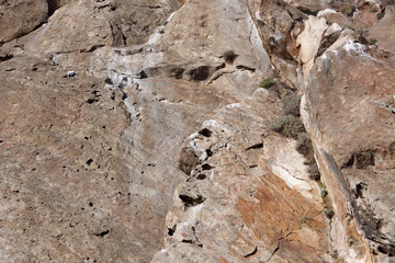 Close-up view of the surface of a California coastal mountain rock