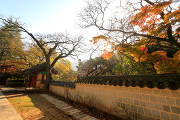 Fototapeta na wymiar 한국 전통 건축물이 보이는 아름다운 가을 풍경