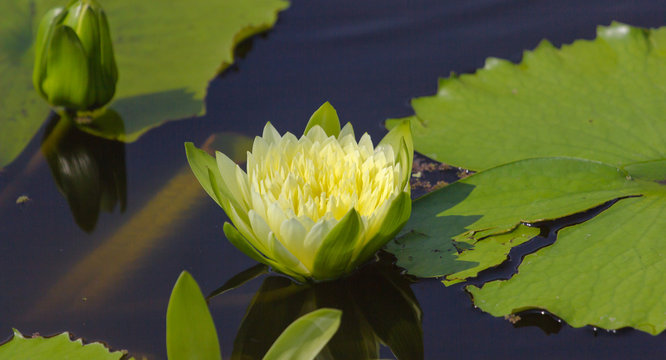Tural Sum Tural Bilder – Durchsuchen 230 Archivfotos, Vektorgrafiken und Videos ...