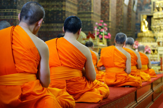 heads of monk praying in buddhist temple