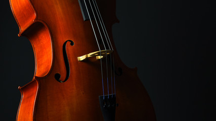 Cello closeup on dark gray background banner