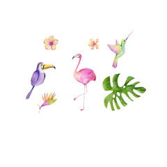 Tropical set birds flowers watercolor illustration flamingo toucan hummingbird monstera isolated on white background