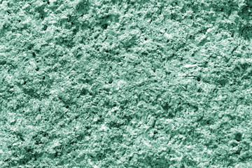 Seashore rocks texture close-up. Natural stone background green color toned