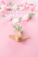 small wooden toy airplane lucky by flower