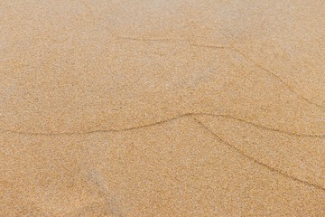 Waving pattern on brown sand beach, empty sand background, nature texture background