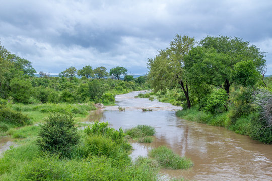Good seasonal rains in January 2020 saw dry rivers running again in the southern section of the Kruger National Park in South Africa image in horizontal format