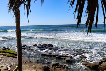 California Surf Shack