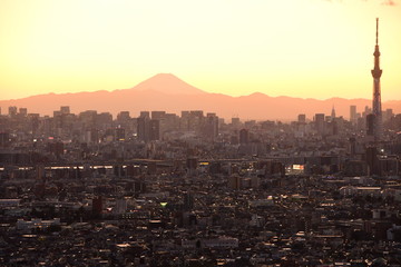Mt.Fuji