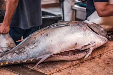 FUNCHAL, MADEIRA, PORTUGAL
