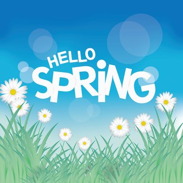 Spring Colorful Banner