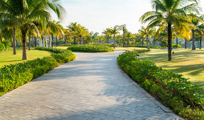 Road in holiday resort with green trees, grass and early sunlight