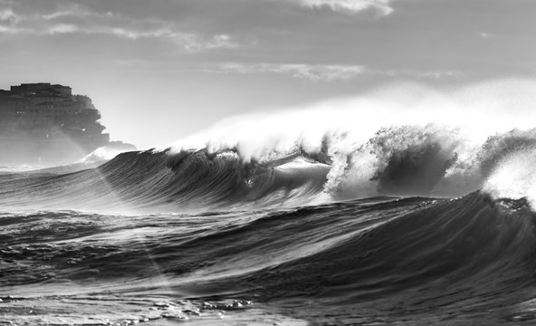 Black and white photo of wave, Sydney Australia