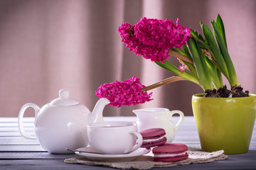 Pink macaroon with pink  hyacinth on the wooden background