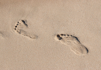 footprints in the sand by the sea