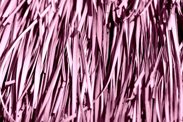 Roof covered with dry palm leaves close-up. Tropical background pink color toned