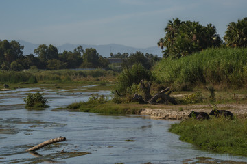 Beautiful Landscape View Portrait taken at "San Jose Del Cabo" Mexican town