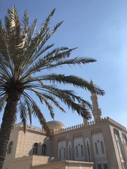 mosque in Dubai city UAE