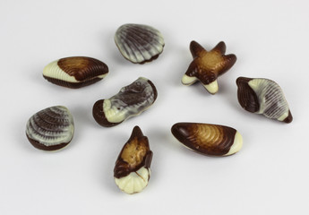 beautifully Chocolate seashells isolated on white background