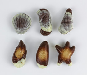 beautifully Chocolate seashells isolated on white background