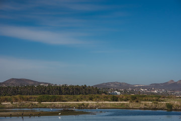 Beautiful Landscape View Portrait taken at "San Jose Del Cabo" Mexican town