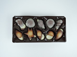 Box of packaged shell-shaped chocolate candy in white and milky chocolate as a gift for a loved one or celebration, close up overhead view