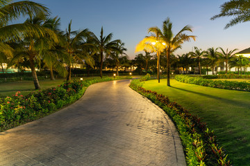 Road in resort park at night with palm trees on background