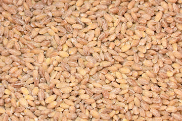 The texture with the pearl barley, the close up.