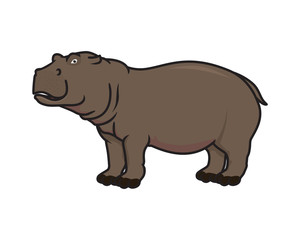 Detailed Hippopotamus Illustration with Standing Gesture
