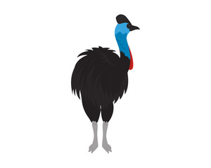Detailed Cassowary Illustration with Standing Gesture