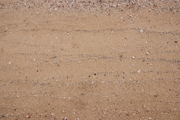 sand fossil shell on the beach, Texture lines of sand on the beach