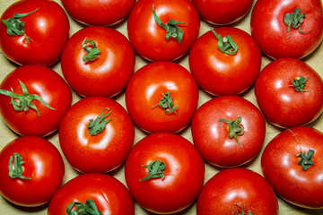 tomatoes