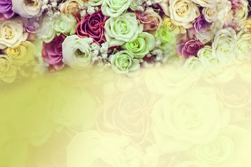 Spring yellow background with roses