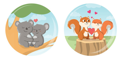 couple koala and couple squirrel